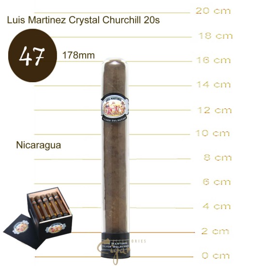Luis Martinez Crystal Churchill 20's