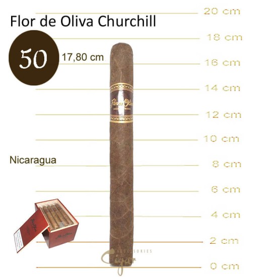 Flor De Oliva Original Churchill 25s