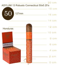Asylum 13 Robusto 50x5 Connecticut 25s