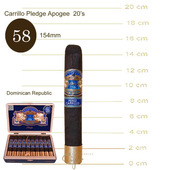 Carrillo Pledge Apogee 6 20's