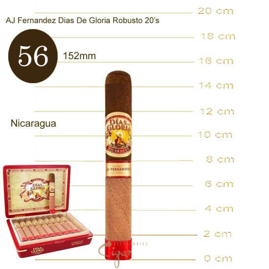 AJ Fernandez Dias De Gloria Toro 20s