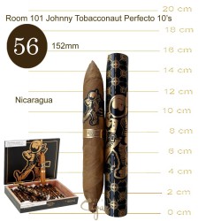 Room101 Johnny Tobacconaut Perfecto 10s