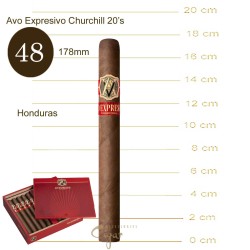 Avo Expresivo Churchill 20s