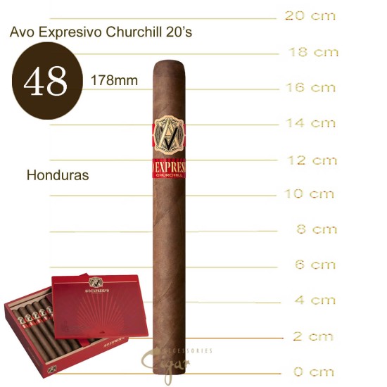 Avo Expresivo Churchill 20s