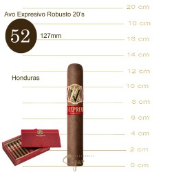 Avo Expresivo Robusto 20s