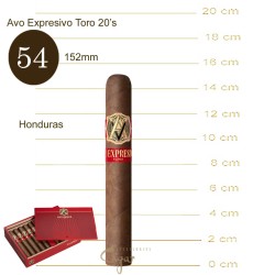 Avo Expresivo Toro 20s