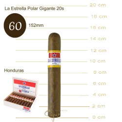 La Estrella Polar Gigante 20s