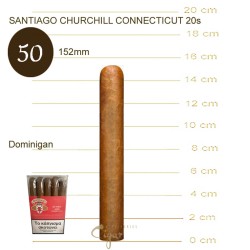 Santiago Connecticut Toro 20s